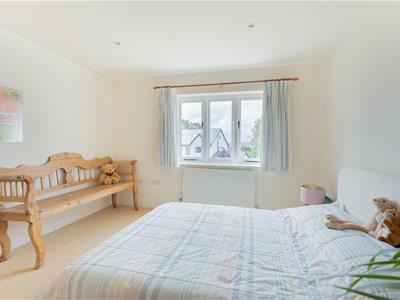Picture 23